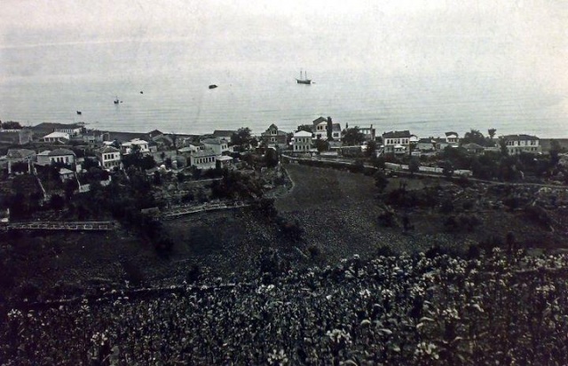 Akçaabat ve tütün tarlaları 1930