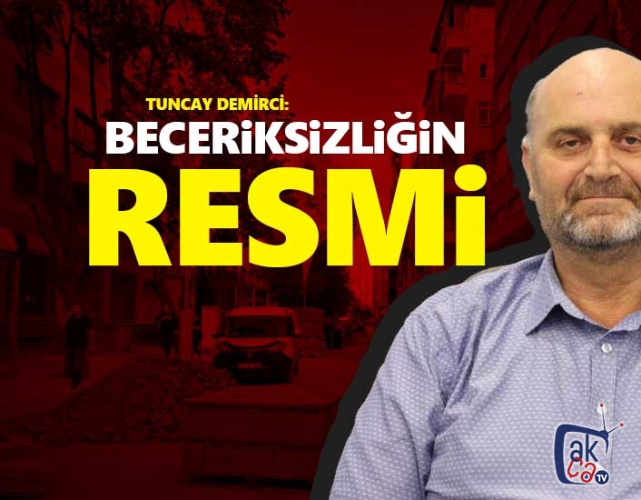 Beceriksizliğin resmi