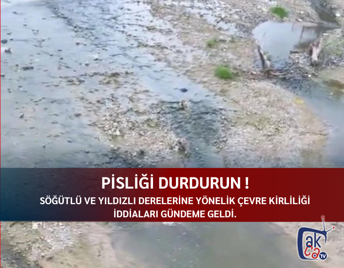 Pisliği durdurun !