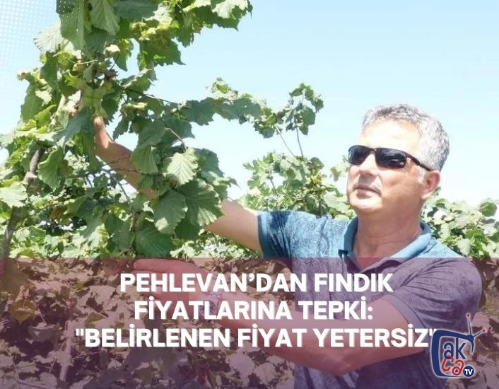 PEHLEVAN’DAN FINDIK FİYATLARINA TEPKİ: "BELİRLENEN FİYAT YETERSİZ"