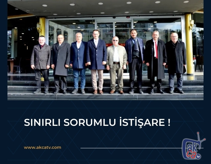 Sınırlı sorumlu istişare !