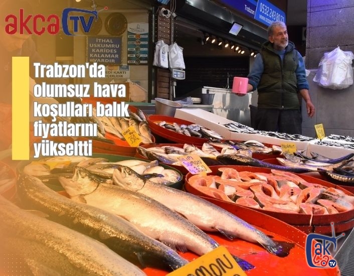 Trabzon'da olumsuz hava koşulları balık fiyatlarını yükseltti