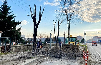 Belediye çalışıyor