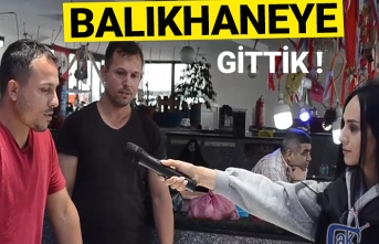 Akçaabat'ta balık fiyatları