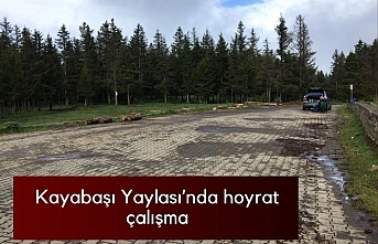 Kayabaşı Yaylası'nda hoyrat çalışma