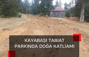 Kayabaşı tabiat parkında doğa katliamı