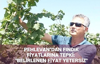 PEHLEVAN’DAN FINDIK FİYATLARINA TEPKİ: "BELİRLENEN FİYAT YETERSİZ"