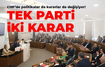 Tek parti, iki karar!