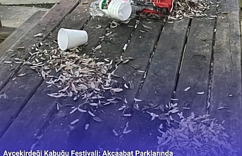 Ayçekirdeği Kabuğu Festivali: Akçaabat Parklarında Yeni Gelenek!