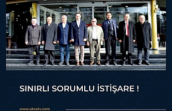 Sınırlı sorumlu istişare !