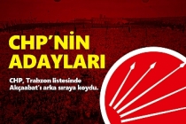 CHP'nin adayları