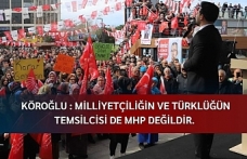 Köroğlu: Milliyetçiliğin ve Türklüğün temsilcisi de MHP değildir.