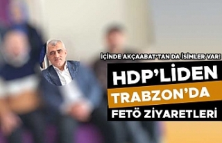 HDP-FETÖ iş birliği