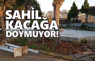 Sahil kaçağa doymuyor!