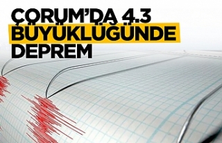 Çorum'da 4.2 büyüklüğünde deprem