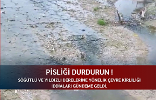 Pisliği durdurun !